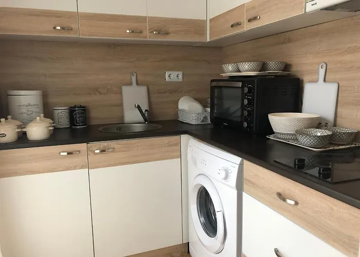 Palace De Luxe - 公寓