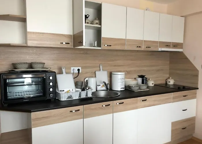 Palace De Luxe - 公寓 *