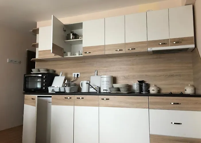 Palace De Luxe - 公寓 *