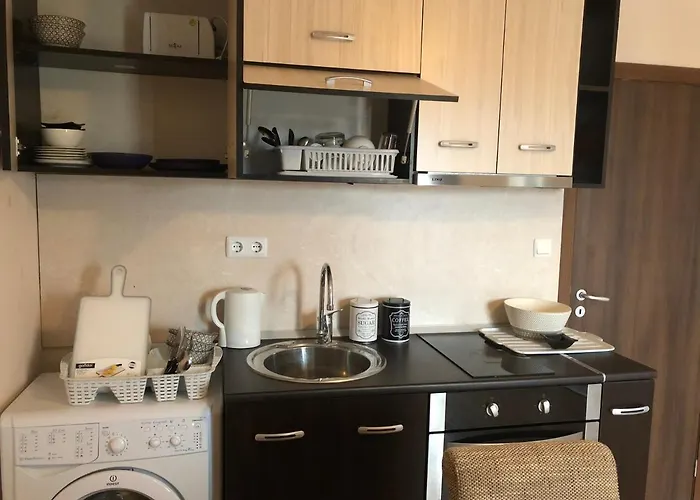 Palace De Luxe - 公寓 帕莫瑞